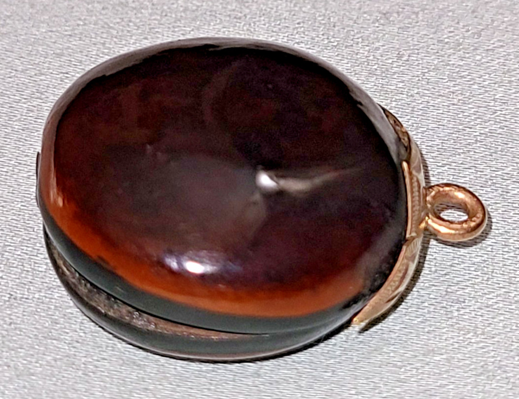 Antique Victorian polished mucuna / sea bean pendant, gold tone bail