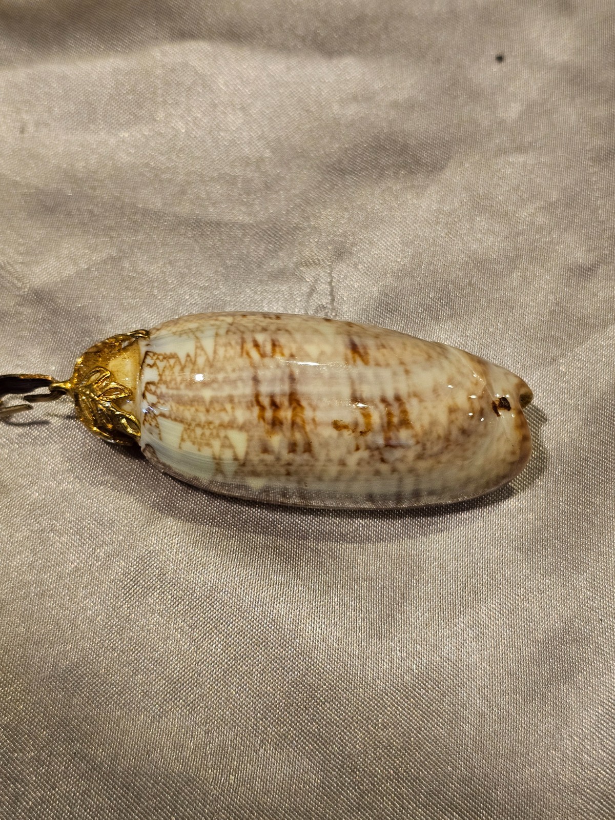 Natural Seashell Pendant Necklace – Gold‑Tone Chain, Coastal Boho Beach Jewelry