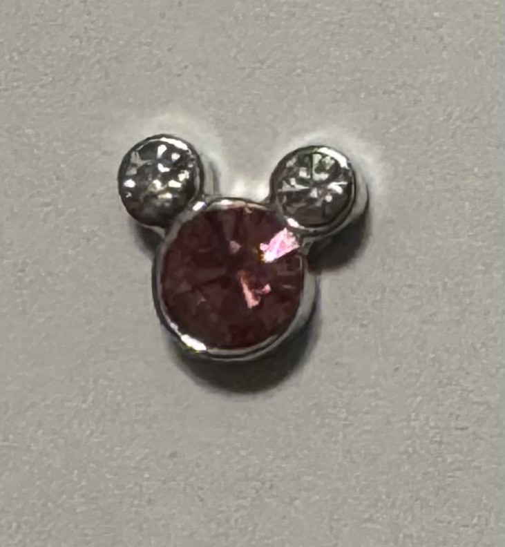 Floating Locket Charms- No Brand