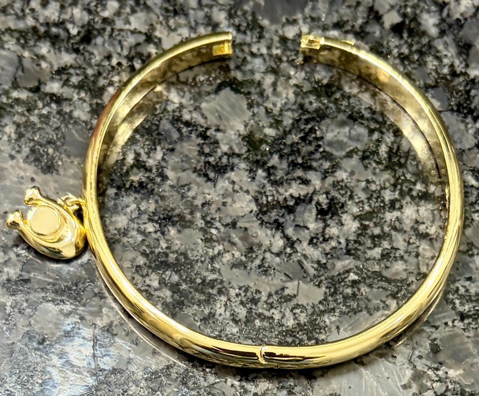 Coach Charm Gold Hinge Bangle Bracelet (One Size) New
