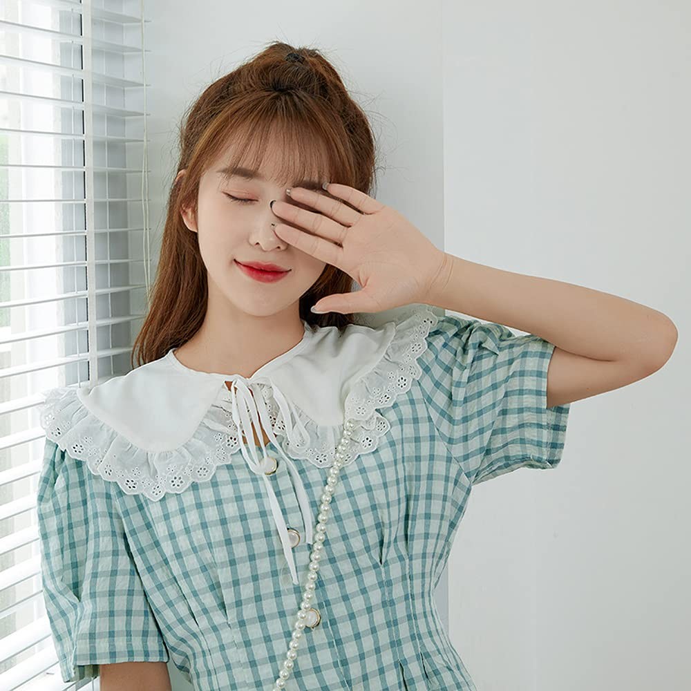 Detachable False Collar Embroidery Neck Ruff Mini Cape Dickey Collar for Wome…