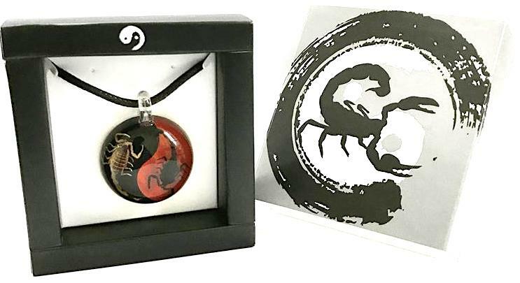 New! Real INSECT Ying Yang Red Black SCORPION NECKLACE Jewelry PENDANT