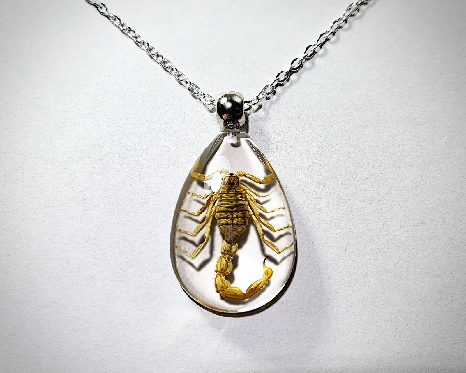 Yellow Scorpion Clear Necklace, Real Insect Jewelry, Mesobuthus Martensii