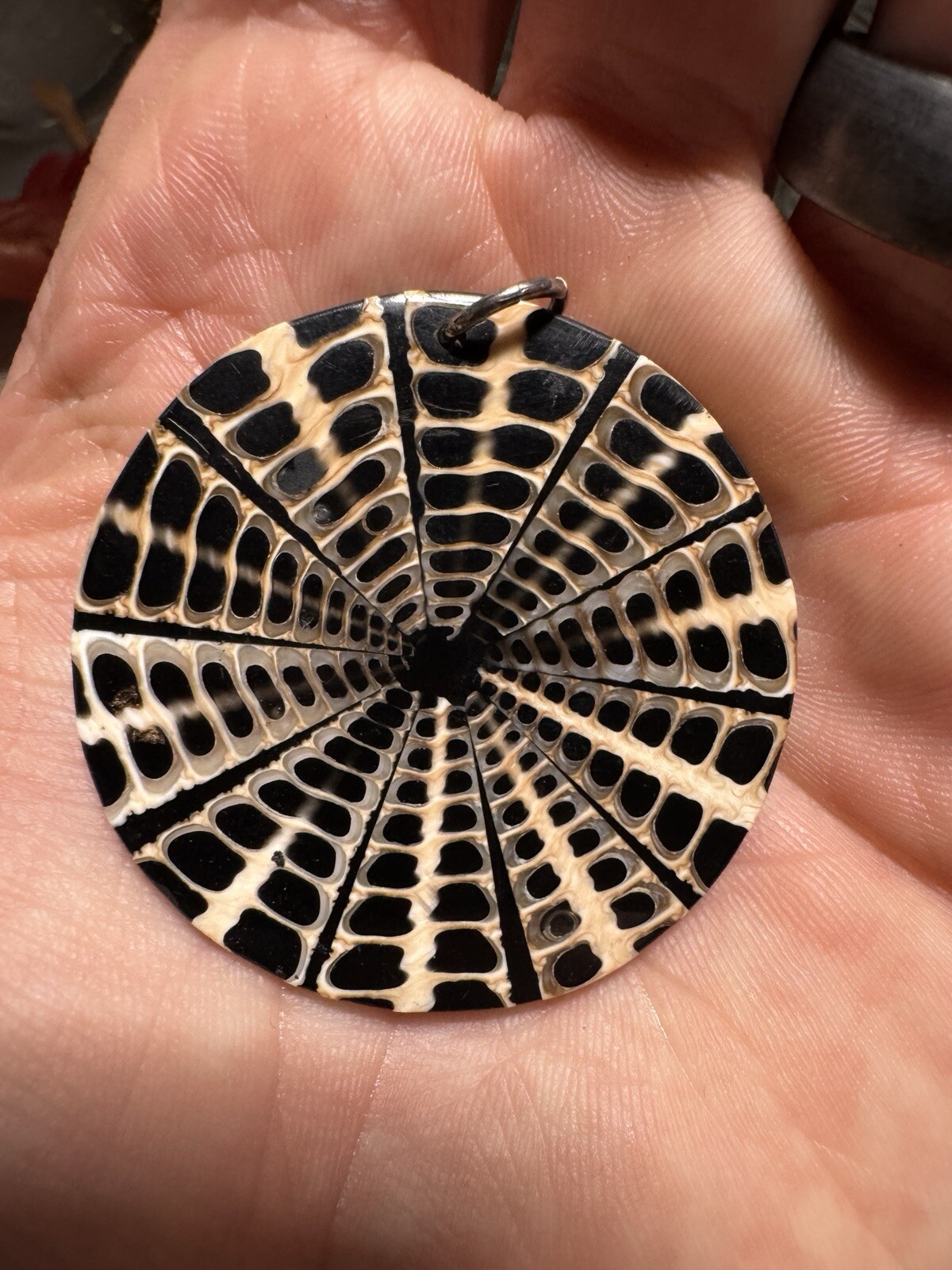 BROWN AND BEIGE NAUTILUS SHELL ROUND SLICE PENDANT