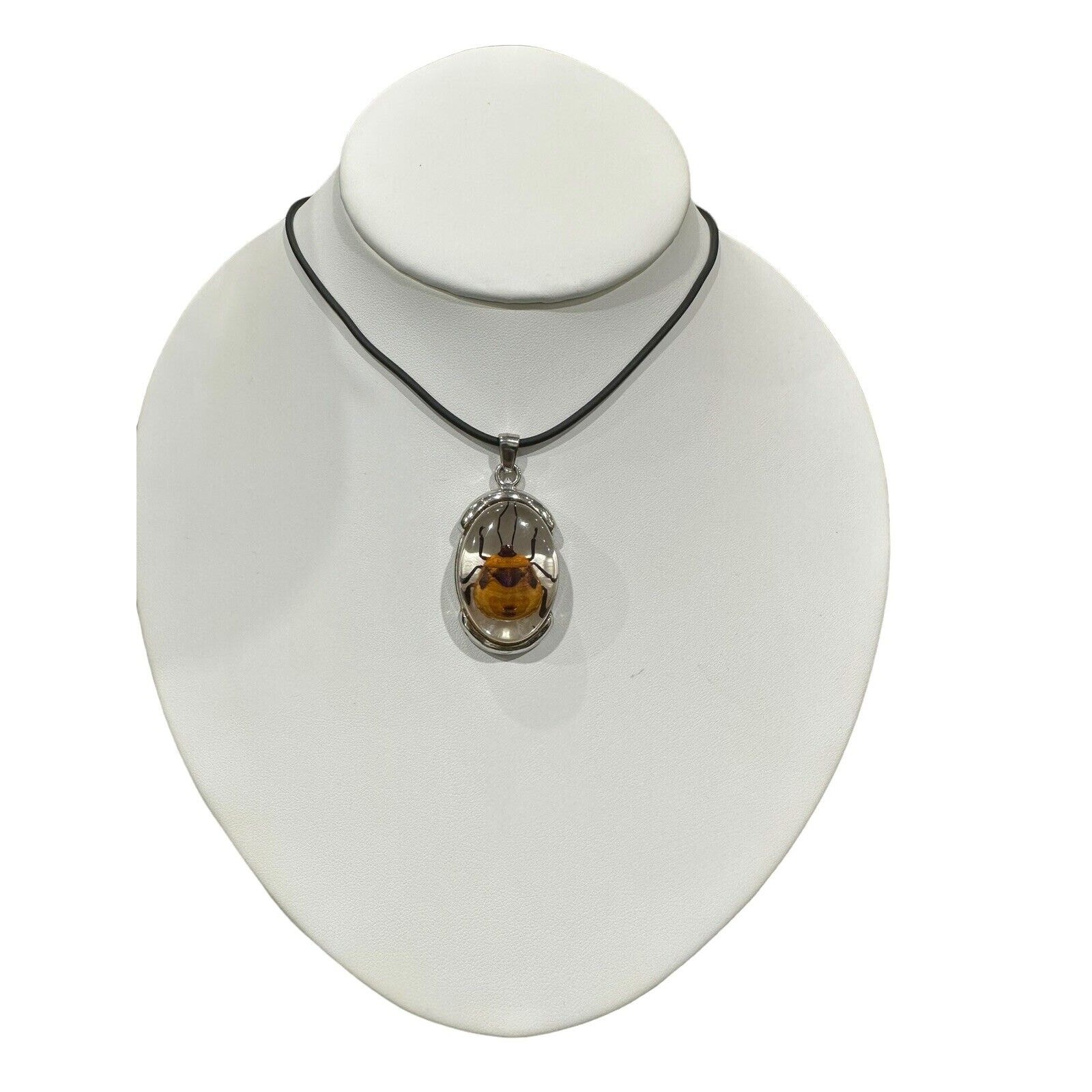Real Beetle in Lucite With Silver Metal Findings Fancy Necklace Black Cord EUC
