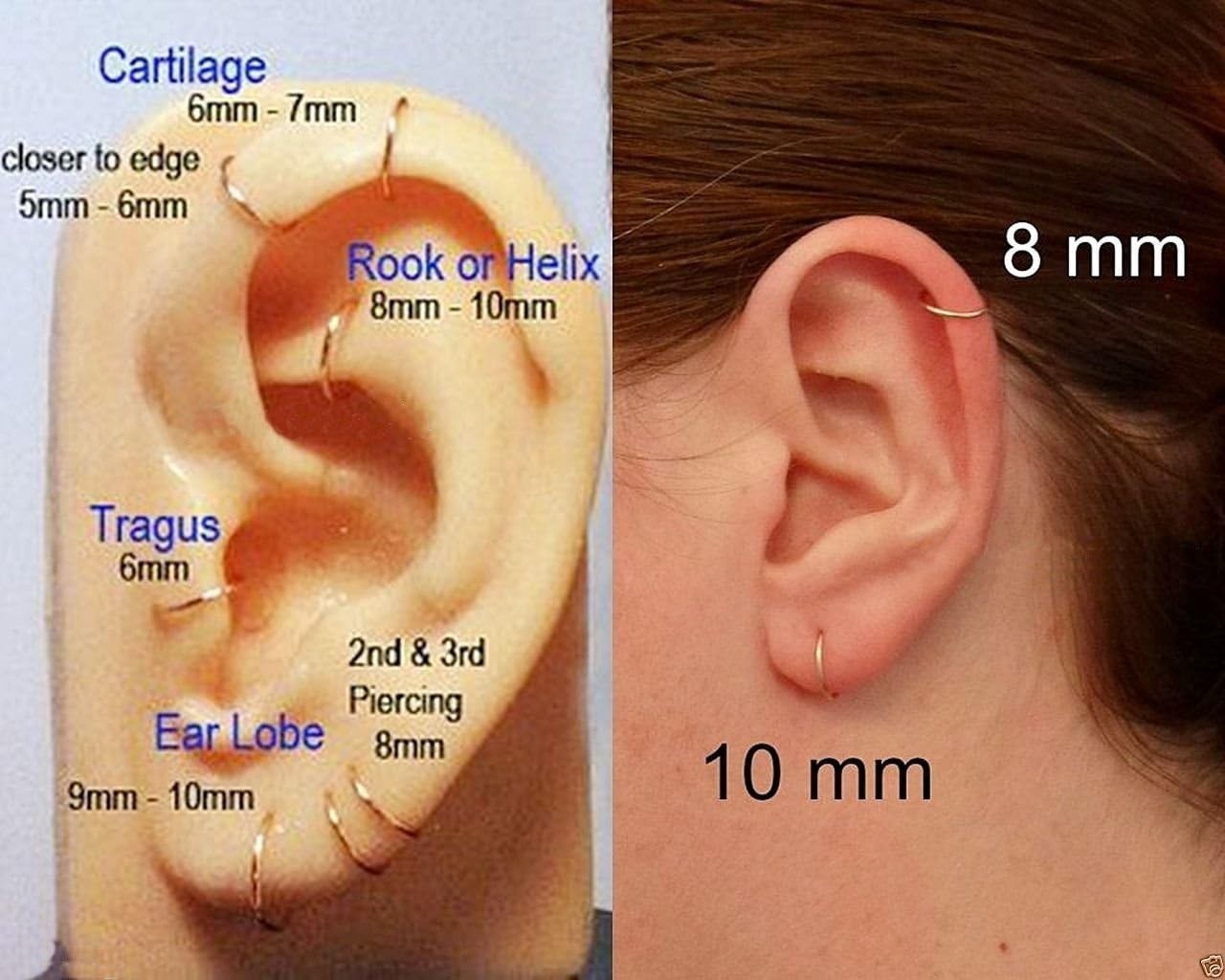 5Pcs Stainless Steel 16G 18G Sleeper Hoop Earrings for Women Men Septum Hinge…