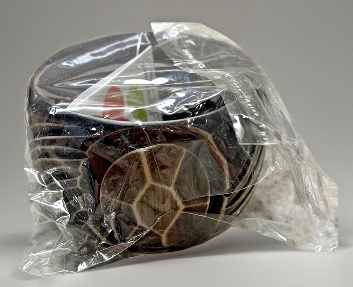 Antika Gorgeous Acrylic Carved Tortoise Shell Medallion Bangle Bracelet 9”