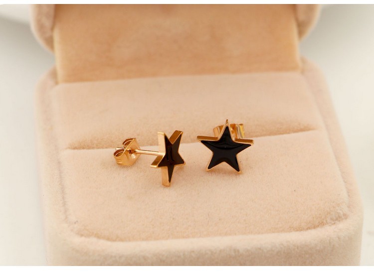 Two Tone Rose Gold Titanium Stainless Steel Hobby Star Stud Earrings Gift PE9