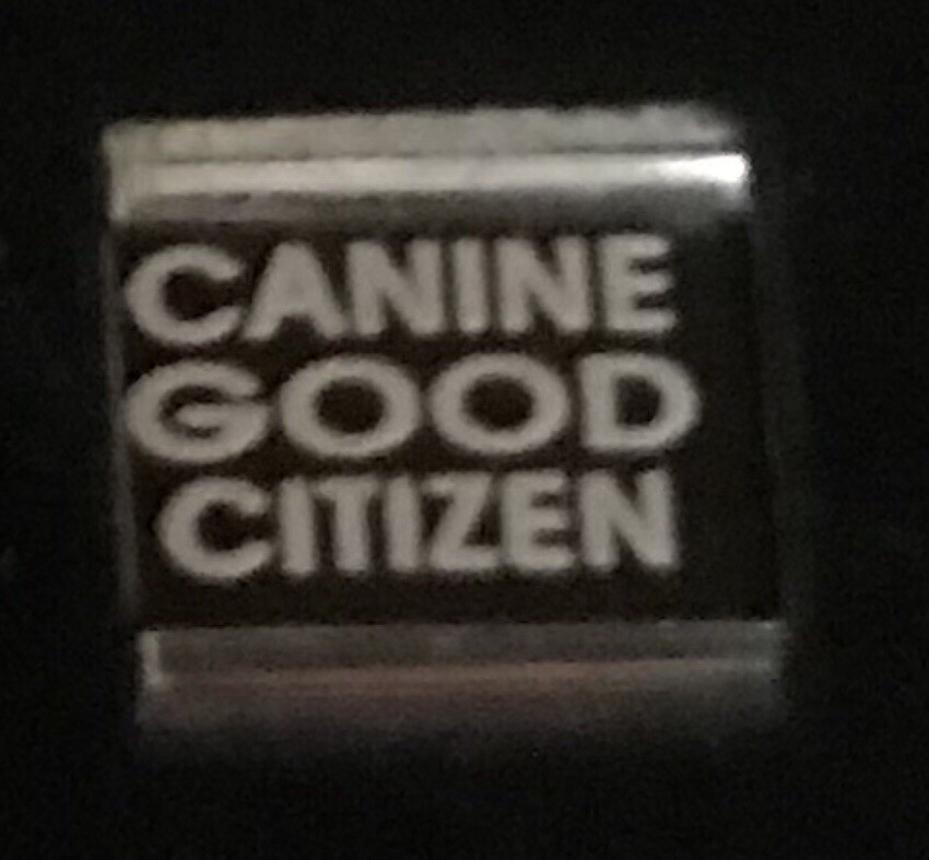 Canine Good Citizen Laser Italian Charm Link 9MM K47