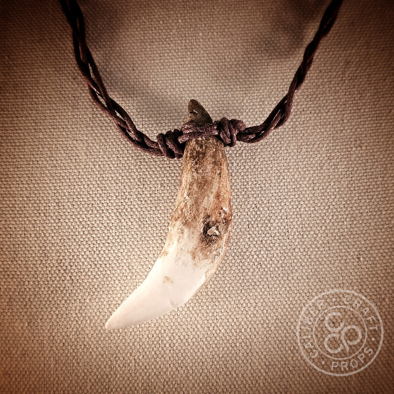 Prehistoric Wolf Fang Necklace Pendant Cast Resin Over 3″ long! Spartan Leonidas