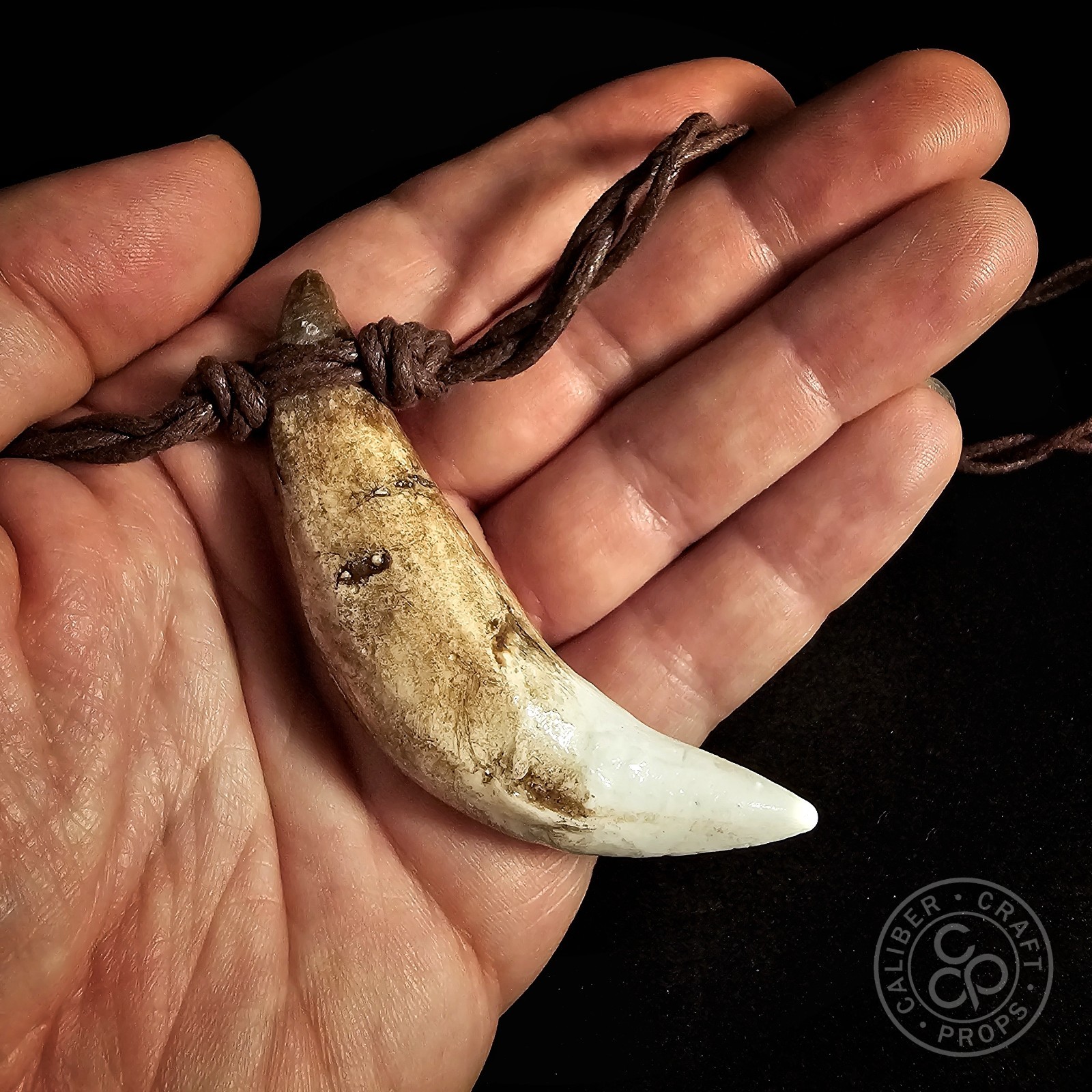 Prehistoric Wolf Fang Necklace Pendant Cast Resin Over 3″ long! Spartan Leonidas