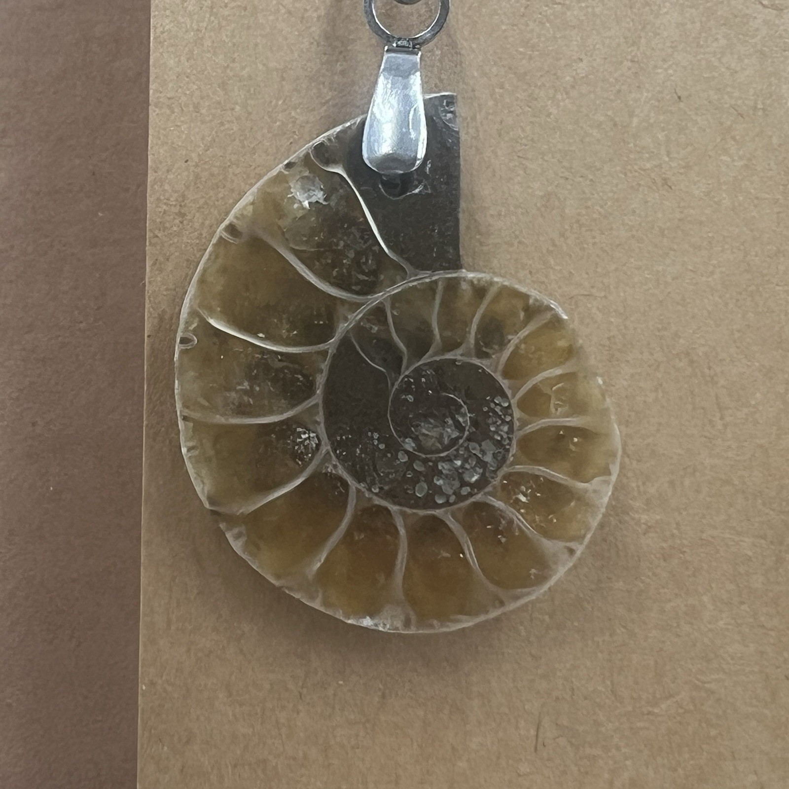 Natural Ammonite Fossil Gesmtone Silver Earrings Handmade Lightweight Miniature