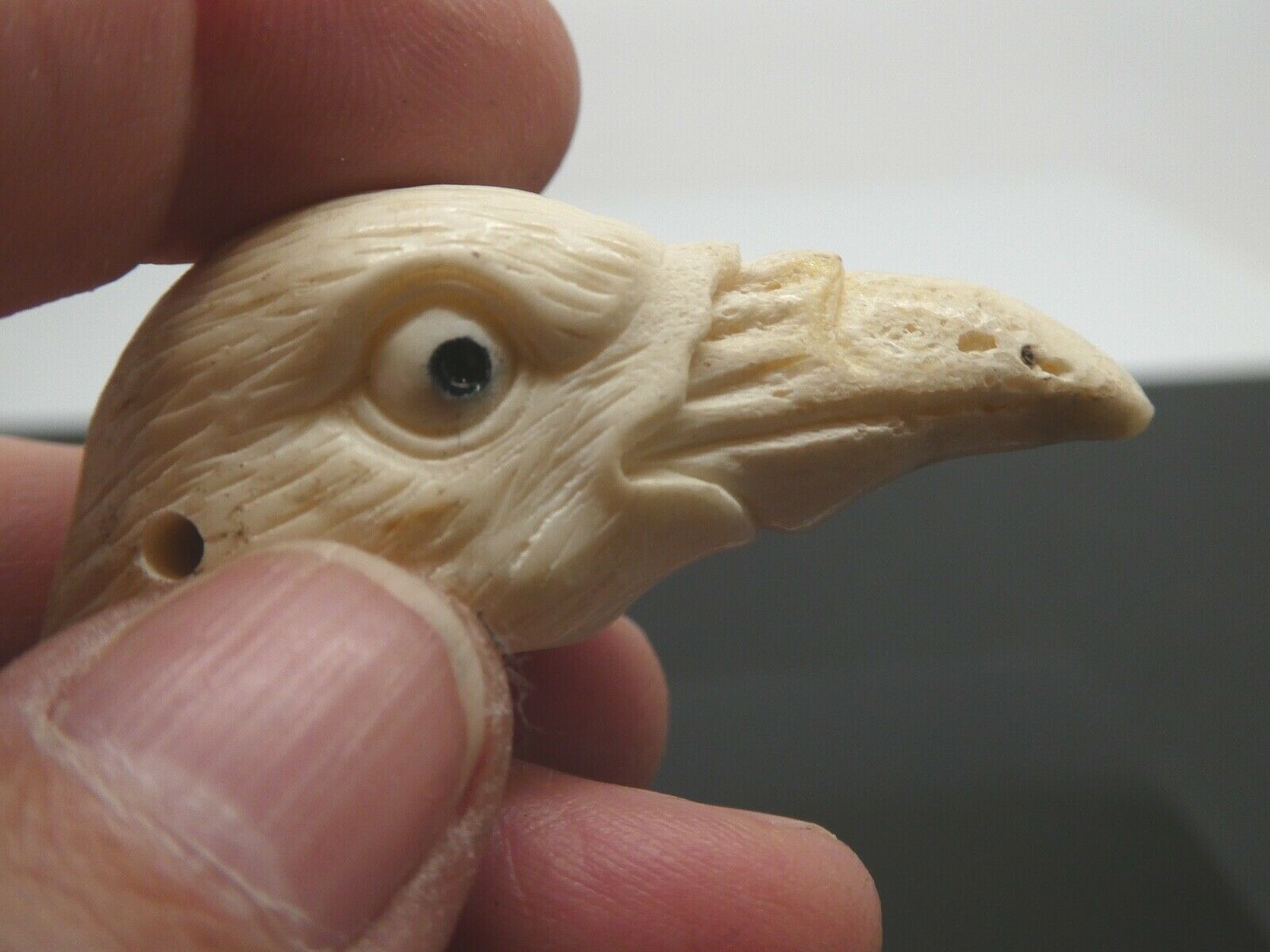 Hand Carved Realistic Crow Bird Head Shed Deer Antler SP Chain Pendant Necklace