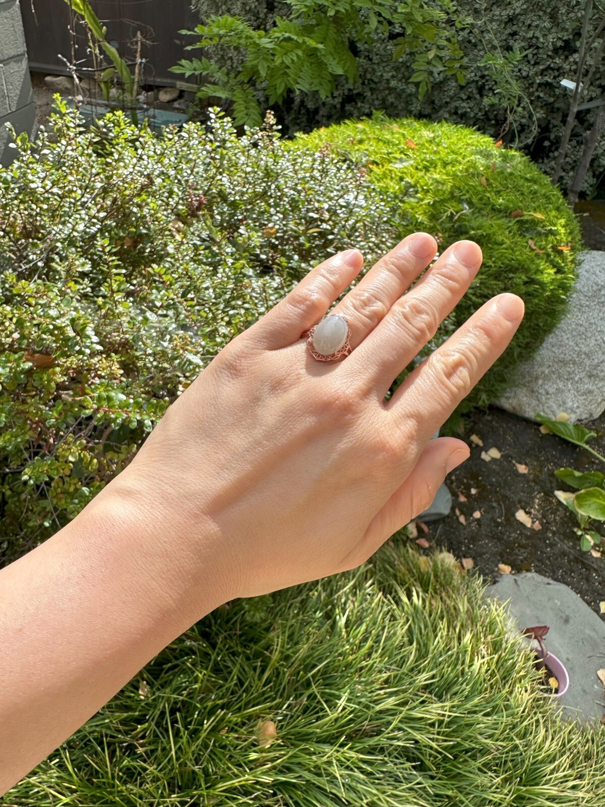 14mm * 10.5mm * 5.5mm Dark Purple Nephrite Ring, S925 Silver | 烟紫戒指，银镶活口
