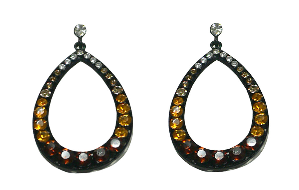 Bella Dangle Earrings in a Loop Hoop with Sparkling Stones CE89010-610