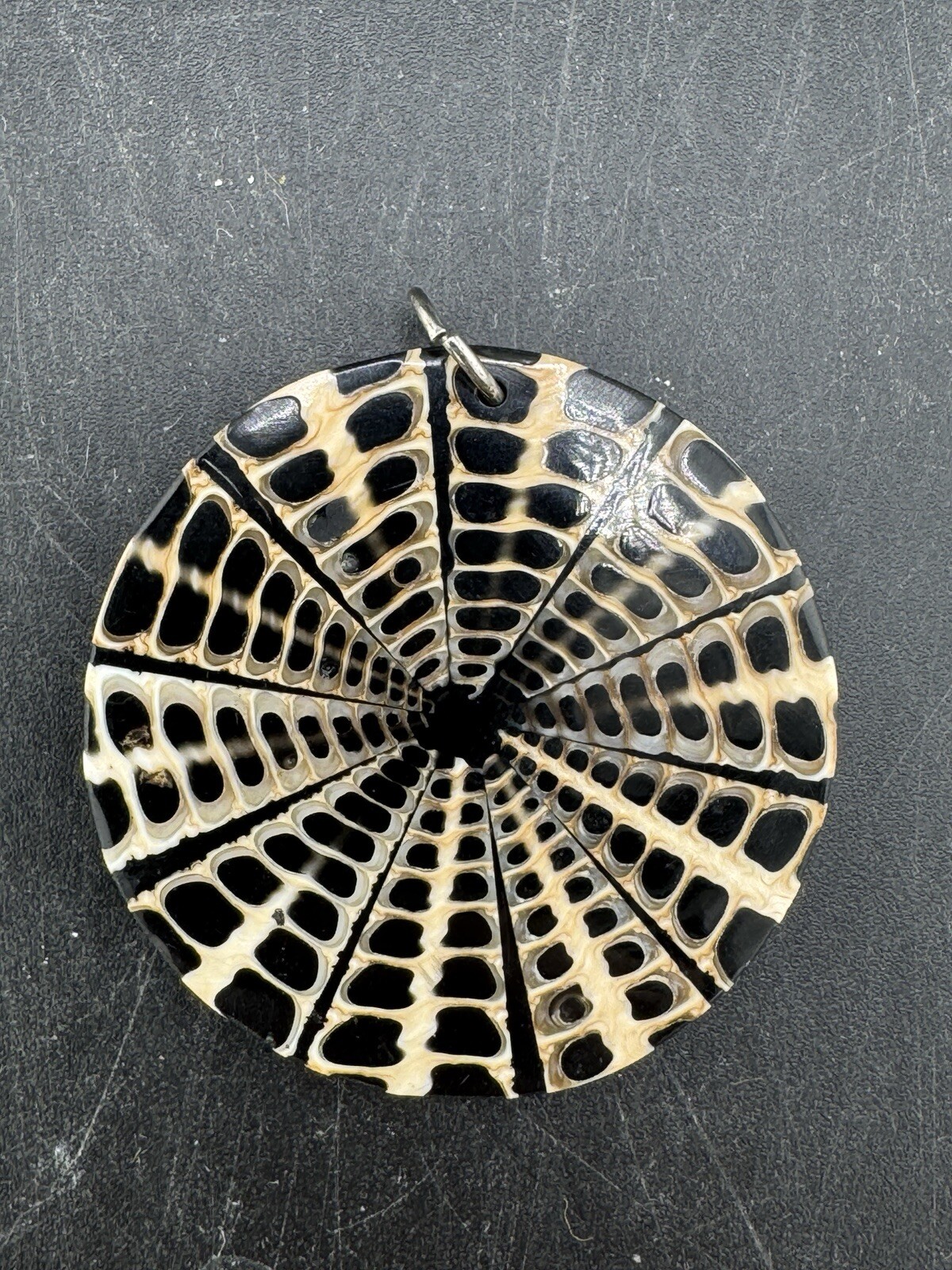 BROWN AND BEIGE NAUTILUS SHELL ROUND SLICE PENDANT