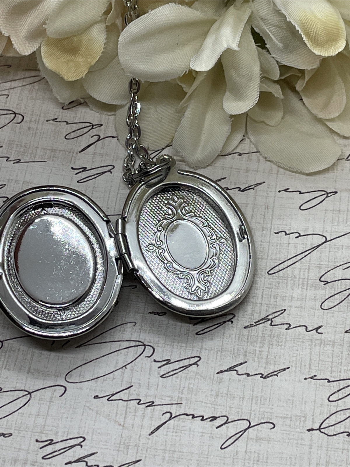 Silver Raven Black Gray Crow Locket Necklace Pendant Gothic Wedding Festival