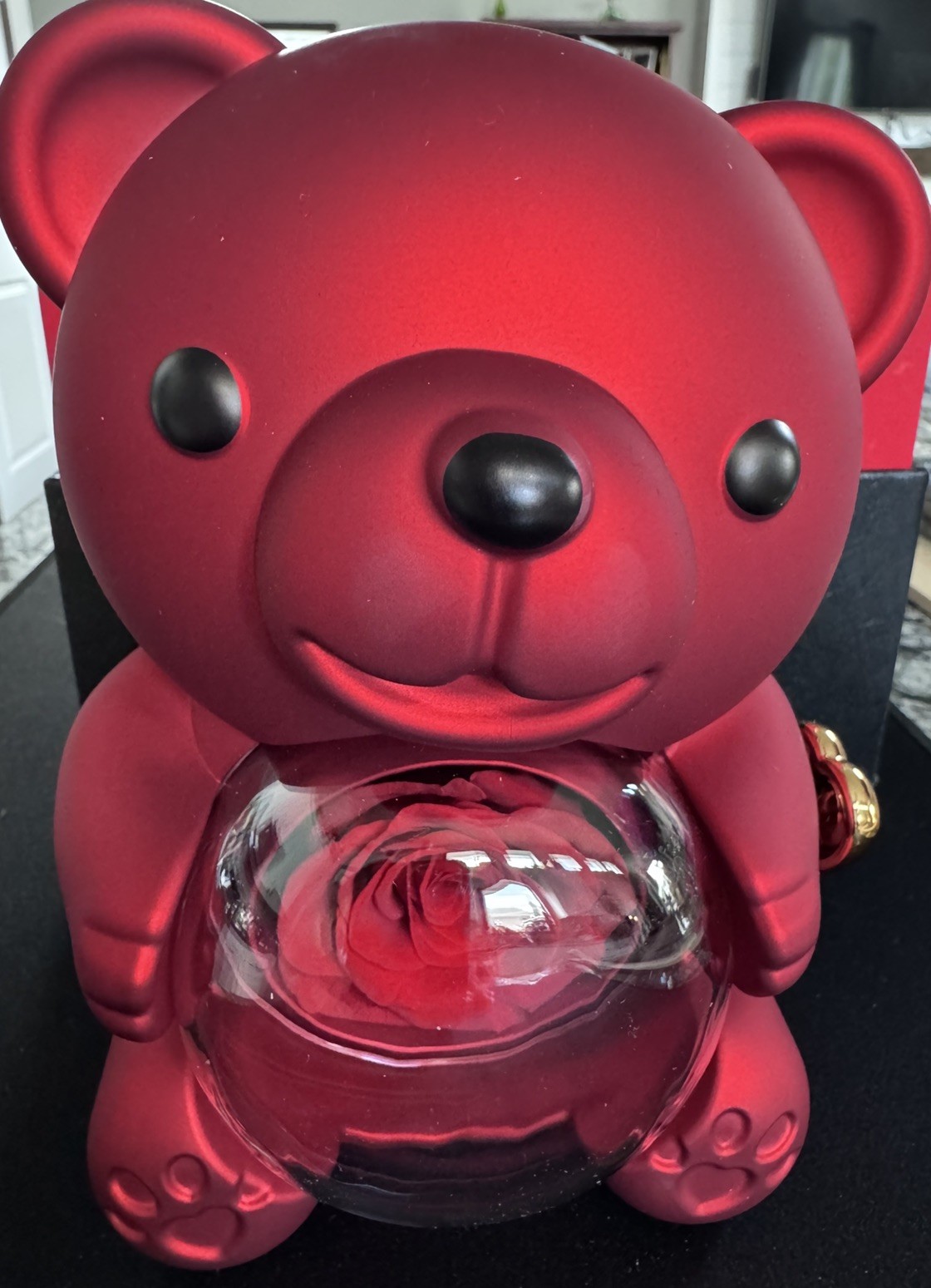 Special occasion gift set: Red Teddy Bear with Preserved Real Rose and Necklace